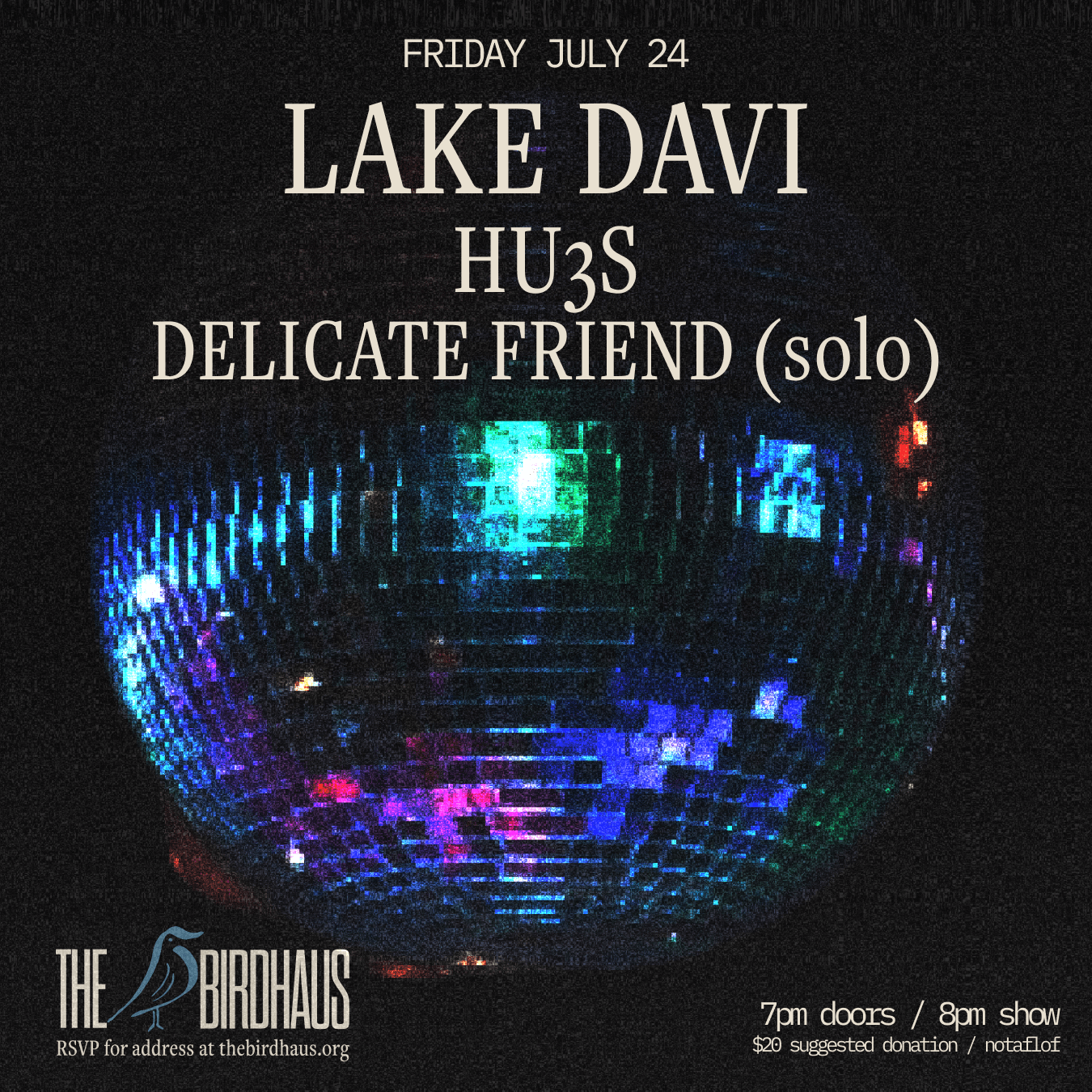 LAKE DAVI / HU3S / DELICATE FRIEND flyer
