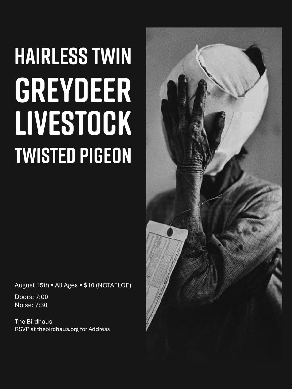 HAIRLESS TWIN / GREYDEER / LIVESTOCK / TWISTED PIGEON flyer